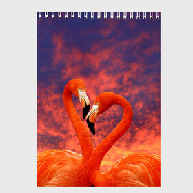 Скетчбук с принтом Flamingo Love в Кировске, 100% бумага
 | 48 листов, плотность листов — 100 г/м2, плотность картонной обложки — 250 г/м2. Листы скреплены сверху удобной пружинной спиралью | 14 февраля | 8 марта | валентинов день | верность | влюбленность | влюбленные | вместе | вместе навсегда | девушке | женат | женский день | женский праздник | закат | замужем | кружка | любимая