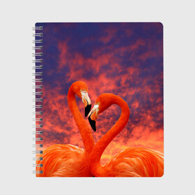 Тетрадь с принтом Flamingo Love в Кировске, 100% бумага | 48 листов, плотность листов — 60 г/м2, плотность картонной обложки — 250 г/м2. Листы скреплены сбоку удобной пружинной спиралью. Уголки страниц и обложки скругленные. Цвет линий — светло-серый
 | Тематика изображения на принте: 14 февраля | 8 марта | валентинов день | верность | влюбленность | влюбленные | вместе | вместе навсегда | девушке | женат | женский день | женский праздник | закат | замужем | кружка | любимая