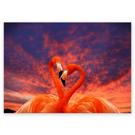 Поздравительная открытка с принтом Flamingo Love в Кировске, 100% бумага | плотность бумаги 280 г/м2, матовая, на обратной стороне линовка и место для марки
 | 14 февраля | 8 марта | валентинов день | верность | влюбленность | влюбленные | вместе | вместе навсегда | девушке | женат | женский день | женский праздник | закат | замужем | кружка | любимая