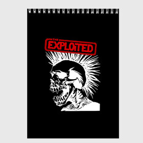 Скетчбук с принтом The Exploited в Кировске, 100% бумага
 | 48 листов, плотность листов — 100 г/м2, плотность картонной обложки — 250 г/м2. Листы скреплены сверху удобной пружинной спиралью | Тематика изображения на принте: punks | punks not dead | the exploited | панк не сдох | панки | уоти | череп | эксплоитед