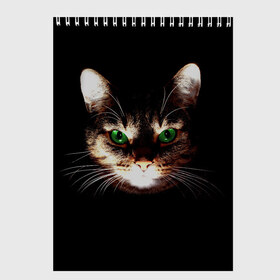 Скетчбук с принтом Зеленоглазый кот в Кировске, 100% бумага
 | 48 листов, плотность листов — 100 г/м2, плотность картонной обложки — 250 г/м2. Листы скреплены сверху удобной пружинной спиралью | Тематика изображения на принте: зеленые глаза | кот | котик | кошак | кошатнику | кошатнице | кошачий портрет | кошка | кошка с зелеными глазами | кружка | любительнице ко | любителю кошек | подушка | полосатый кот | портрет кота