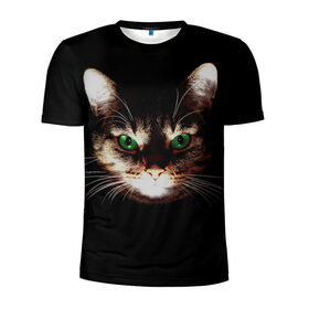 Мужская футболка 3D спортивная с принтом Зеленоглазый кот в Кировске, 100% полиэстер с улучшенными характеристиками | приталенный силуэт, круглая горловина, широкие плечи, сужается к линии бедра | зеленые глаза | кот | котик | кошак | кошатнику | кошатнице | кошачий портрет | кошка | кошка с зелеными глазами | кружка | любительнице ко | любителю кошек | подушка | полосатый кот | портрет кота