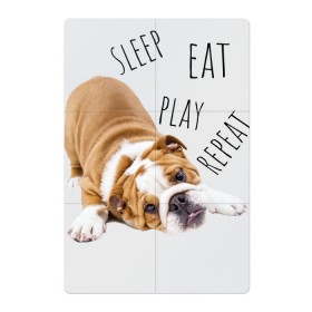 Магнитный плакат 2Х3 с принтом Sleep Eat Play Repeat (Бульдог) в Кировске, Полимерный материал с магнитным слоем | 6 деталей размером 9*9 см | bulldog | dog | puppy | sleep eat play repeat | английский бульдог | бульдог | бульдог английский | веселая собака | веселый щенок | игривый щенок | мысли с | мысли щенка | рыжая собака | рыжий щенок | собачья жизнь