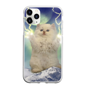 Чехол для iPhone 11 Pro Max матовый с принтом Грозовой Котик в Кировске, Силикон |  | cat | cats | memes | гроза | грозовой | грозовой кошак | животные | кот | котенок | котик | котята | кошак | кошка | мем | мемы | молнии | молния | прикол | прикольные