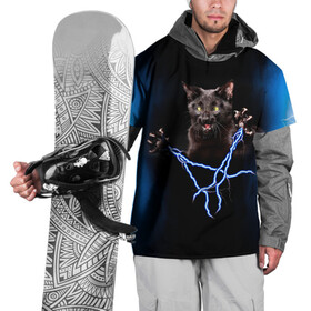 Накидка на куртку 3D с принтом Грозовой кошак(громовержец) в Кировске, 100% полиэстер |  | грозовой | громовержец | кот | кошак | молнии | разряды | черный