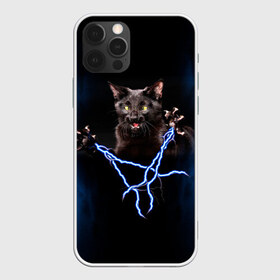Чехол для iPhone 12 Pro Max с принтом Грозовой кошак(громовержец) в Кировске, Силикон |  | Тематика изображения на принте: грозовой | громовержец | кот | кошак | молнии | разряды | черный