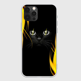 Чехол для iPhone 12 Pro Max с принтом Грозовой кошак в Кировске, Силикон |  | Тематика изображения на принте: глаза | грозовой | кот | кошак | молнии | пламя | разряды | черный