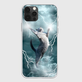 Чехол для iPhone 12 Pro Max с принтом Грозовой кошак в Кировске, Силикон |  | Тематика изображения на принте: cat | грозовой кот | грозовой кошак | животные | звери | кот | котики | кошак | молния