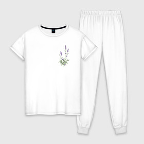 Женская пижама хлопок с принтом Lavanda в Кировске, 100% хлопок | брюки и футболка прямого кроя, без карманов, на брюках мягкая резинка на поясе и по низу штанин | лаванда | лавандовые цветы | милота | нежность | цветочки | цветы