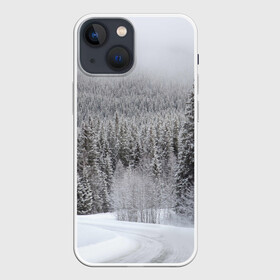 Чехол для iPhone 13 mini с принтом Зимняя природа в Кировске,  |  | winter | белый | зима | искусство | лес | природа | снег | снежная | текстура | текстуры