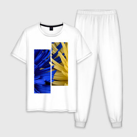 Мужская пижама хлопок с принтом Украинский акцент в Кировске, 100% хлопок | брюки и футболка прямого кроя, без карманов, на брюках мягкая резинка на поясе и по низу штанин
 | жёлтый | намёк | пионы | синий | украина | украинский флаг | флаг | цвет | цвет флага | цветы
