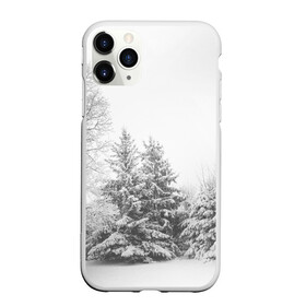 Чехол для iPhone 11 Pro Max матовый с принтом Winter Storm в Кировске, Силикон |  | winter | белый | деревья | ели | ель | заснеженный | зима | зимний | искусство | лес | природа | снег | снежная | текстура | текстуры | шторм