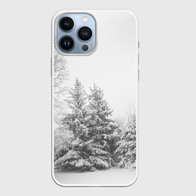 Чехол для iPhone 13 Pro Max с принтом Winter Storm в Кировске,  |  | winter | белый | деревья | ели | ель | заснеженный | зима | зимний | искусство | лес | природа | снег | снежная | текстура | текстуры | шторм