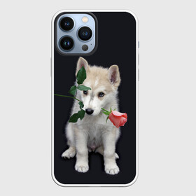 Чехол для iPhone 13 Pro Max с принтом Щенок в подарок в Кировске,  |  | 8 марта щенок | husky | siberian husky | белый щенок | лайка | собака на день рождения | собака с розой | собака с цветком | хаски | щенок | щенок 8 марта | щенок лайки | щенок на 8 марта | щенок на день рождения