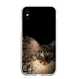 Чехол для iPhone XS Max матовый с принтом Disintegrating Cat в Кировске, Силикон | Область печати: задняя сторона чехла, без боковых панелей | cat | азулес | атомный кот | голубоглазая кошка | голубоглазый кот | голубоглазый котик | кот | кот к | кот распадающийся на атомы | кот с голубыми глазами | котик | котэ | кошак | кошачий портрет