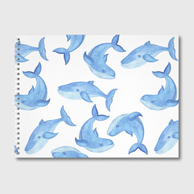 Альбом для рисования с принтом Косяк китов в Кировске, 100% бумага
 | матовая бумага, плотность 200 мг. | Тематика изображения на принте: арт | карандашом | кит | киты | красками | море | моря | океан | океаны | под водой | рисунок