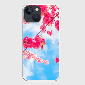 Чехол для iPhone 13 mini с принтом Цветение Вишни в Кировске,  |  | flowers | pink | бутоны | весна | вишня | дерево | листья | небо | облака | природа | розовый | сакура | солнце | цветение | цветочки | цветы