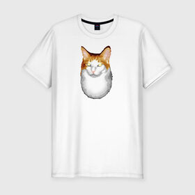 Мужская футболка премиум с принтом ГНЕГ в Кировске, 92% хлопок, 8% лайкра | приталенный силуэт, круглый вырез ворота, длина до линии бедра, короткий рукав | гнег | ирония | котэ | мем | мемы про котов | мета | постирония | прикол | ржака
