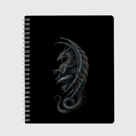 Тетрадь с принтом Black Dragon в Кировске, 100% бумага | 48 листов, плотность листов — 60 г/м2, плотность картонной обложки — 250 г/м2. Листы скреплены сбоку удобной пружинной спиралью. Уголки страниц и обложки скругленные. Цвет линий — светло-серый
 | beast | dinosaur | dragon | fire | hunter | ice | monster | predator | reptile | динозавр | дракон | зверь | лед | ледяной | монстр | огненный | огонь | охотник | хищник