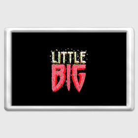 Магнит 45*70 с принтом Little Big в Кировске, Пластик | Размер: 78*52 мм; Размер печати: 70*45 | 20 | 2020 | big | eurovision | little | music | биг | бузова | евровидение | ильич | литл | музыка