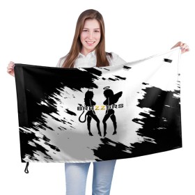 Флаг 3D с принтом Brazzers в Кировске, 100% полиэстер | плотность ткани — 95 г/м2, размер — 67 х 109 см. Принт наносится с одной стороны | brazzers | ананизм | бразерс | браззерс | братья | звезда | мостурба | надпись | прикол | проно хуб | сайт | с