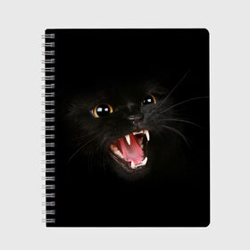 Тетрадь с принтом Злой Котик в Кировске, 100% бумага | 48 листов, плотность листов — 60 г/м2, плотность картонной обложки — 250 г/м2. Листы скреплены сбоку удобной пружинной спиралью. Уголки страниц и обложки скругленные. Цвет линий — светло-серый
 | Тематика изображения на принте: angry | animal | animals | beast | black | cat | kitten | британец | британка | животное | животные | зверек | зверь | злая | злой | кот | котейка | котенок | котэ | кошка | кошки | черная