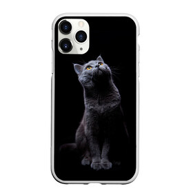 Чехол для iPhone 11 Pro Max матовый с принтом Кот Британец в Кировске, Силикон |  | Тематика изображения на принте: animal | animals | beast | black | cat | kitten | британец | британка | животное | животные | зверек | зверь | кот | котейка | котенок | котики | котэ | кошка | кошки | черная