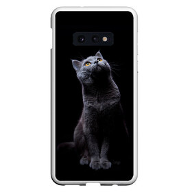 Чехол для Samsung S10E с принтом Кот Британец в Кировске, Силикон | Область печати: задняя сторона чехла, без боковых панелей | animal | animals | beast | black | cat | kitten | британец | британка | животное | животные | зверек | зверь | кот | котейка | котенок | котики | котэ | кошка | кошки | черная