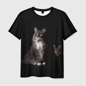 Мужская футболка 3D с принтом Котики в Кировске, 100% полиэфир | прямой крой, круглый вырез горловины, длина до линии бедер | animal | animals | beast | black | cat | kitten | животное | животные | зверек | зверь | кот | котейка | котенок | котики | котэ | кошка | кошки | мейн кун | черная