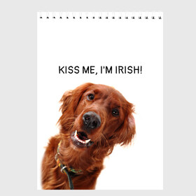 Скетчбук с принтом Ирландский сеттер в Кировске, 100% бумага
 | 48 листов, плотность листов — 100 г/м2, плотность картонной обложки — 250 г/м2. Листы скреплены сверху удобной пружинной спиралью | irish | kiss me | kiss me im irish | ирландец | ирландия | ирландский | ирландский сеттер | красный сеттер | поцелуй меня я ирландец | рыжий сеттер | сеттер