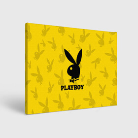 Холст прямоугольный с принтом PLAYBOY | ПЛЕЙБОЙ (Z) в Кировске, 100% ПВХ |  | Тематика изображения на принте: brand | brazzers | fake taxi | faketaxi | hub | mode | playboy | бразерс | бренд | мода | фейк такси