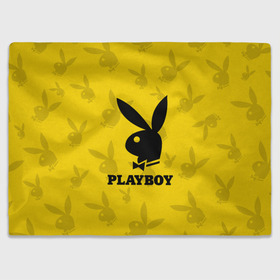 Плед 3D с принтом PLAYBOY в Кировске, 100% полиэстер | закругленные углы, все края обработаны. Ткань не мнется и не растягивается | brand | brazzers | fake taxi | faketaxi | hub | mode | playboy | бразерс | бренд | мода | фейк такси