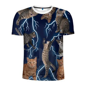 Мужская футболка 3D спортивная с принтом Коты в Кировске, 100% полиэстер с улучшенными характеристиками | приталенный силуэт, круглая горловина, широкие плечи, сужается к линии бедра | город | животное | забавный | кот | молния