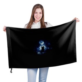 Флаг 3D с принтом Кот в Кировске, 100% полиэстер | плотность ткани — 95 г/м2, размер — 67 х 109 см. Принт наносится с одной стороны | звезды | кот | луна | ночь | силуэт