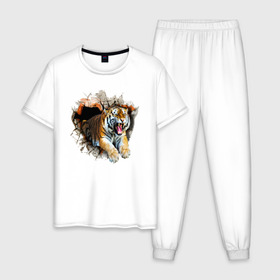 Мужская пижама хлопок с принтом Тигр в Кировске, 100% хлопок | брюки и футболка прямого кроя, без карманов, на брюках мягкая резинка на поясе и по низу штанин
 | animal | tiger | арт | животное | полосатый | рисунок | тигр | хищная кошка | хищник