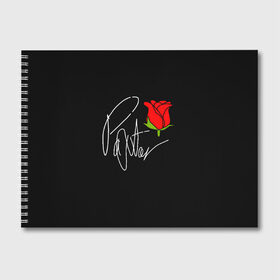 Альбом для рисования с принтом PAYTON MOORMEIER в Кировске, 100% бумага
 | матовая бумага, плотность 200 мг. | flower | payton moormeier | roses | tiktok | блогер | пейтон | пейтон моормиер | розы | тикток | тиктокер | цветы | ютубер