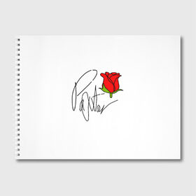 Альбом для рисования с принтом PAYTON MOORMEIER в Кировске, 100% бумага
 | матовая бумага, плотность 200 мг. | flower | payton moormeier | roses | tiktok | блогер | пейтон | пейтон моормиер | розы | тикток | тиктокер | цветы | ютубер
