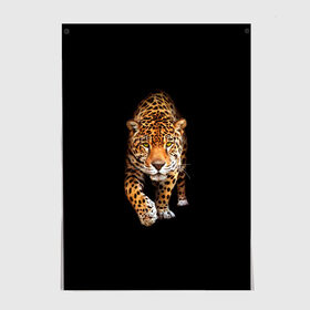 Постер с принтом Ягуар в Кировске, 100% бумага
 | бумага, плотность 150 мг. Матовая, но за счет высокого коэффициента гладкости имеет небольшой блеск и дает на свету блики, но в отличии от глянцевой бумаги не покрыта лаком | animal | art | black | cat | hunter | jaguar | leopard | арт | гепард | голова | животное | животные | зверь | клыки | кот | кошка | леопард | охотник | темнота | хищник | ягуар