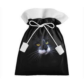 Подарочный 3D мешок с принтом Кот в Кировске, 100% полиэстер | Размер: 29*39 см | animal | animals | beast | black | cat | kitten | британец | британка | животное | животные | зверек | зверь | кот | котейка | котенок | котики | котэ | кошка | кошки | черная