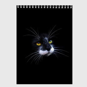 Скетчбук с принтом Кот в Кировске, 100% бумага
 | 48 листов, плотность листов — 100 г/м2, плотность картонной обложки — 250 г/м2. Листы скреплены сверху удобной пружинной спиралью | animal | animals | beast | black | cat | kitten | британец | британка | животное | животные | зверек | зверь | кот | котейка | котенок | котики | котэ | кошка | кошки | черная