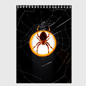 Скетчбук с принтом Spider в Кировске, 100% бумага
 | 48 листов, плотность листов — 100 г/м2, плотность картонной обложки — 250 г/м2. Листы скреплены сверху удобной пружинной спиралью | animal | hunter | spider | животное | животные | лапы | охота | охотник | паук | паутина | хищник