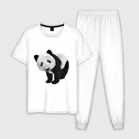 Мужская пижама хлопок с принтом Панда в Кировске, 100% хлопок | брюки и футболка прямого кроя, без карманов, на брюках мягкая резинка на поясе и по низу штанин
 | животное | медведь | панда | пушистый | черно белое