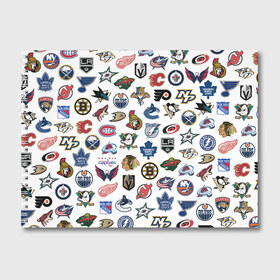 Альбом для рисования с принтом Логотипы НХЛ в Кировске, 100% бумага
 | матовая бумага, плотность 200 мг. | capitals | nhl | penguins | pittsburgh | washington | блюз | бостон | брюинз | вашингтон | детройт | кэпиталз | логотипы нхл | нью йорк | пингвинз | питтсбург | рейнджерс | сан хосе шаркс | сент луис | тампа бэй