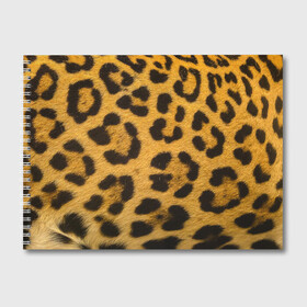 Альбом для рисования с принтом Леопард в Кировске, 100% бумага
 | матовая бумага, плотность 200 мг. | abstract | animal | cat | leopard | texture | абстракция | гепард | животное | животные | зверь | кот | кошка | леопард | охотник | паттерн | полигоны | текстура | узор | хищник