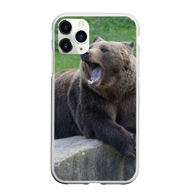 Чехол для iPhone 11 Pro Max матовый с принтом Медведь в Кировске, Силикон |  | Тематика изображения на принте: животное | животные | звери | зверь | зверьё | зверьки | зоопарк | медведи | медведь | мишка | мишки | потапыч | природа | природный | фауна | хищник | хищники