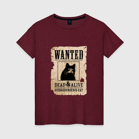 Женская футболка хлопок с принтом Кот в Кировске, 100% хлопок | прямой крой, круглый вырез горловины, длина до линии бедер, слегка спущенное плечо | cat | wanted | живым или мертвым | кот | кот шредингера | котэ | опасен | разыскивается | чёрный кот