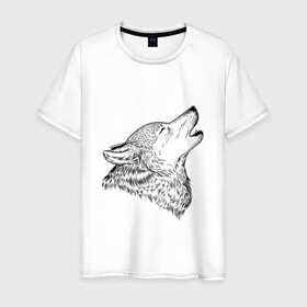 Мужская футболка хлопок с принтом Поющий волк в Кировске, 100% хлопок | прямой крой, круглый вырез горловины, длина до линии бедер, слегка спущенное плечо. | canidae | canis latrans | canis lupus | wolf | воет | волк | волки | коёт | пес | псовые | серый волк | собаки