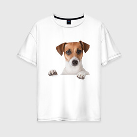 Женская футболка хлопок Oversize с принтом Собака в Кировске, 100% хлопок | свободный крой, круглый ворот, спущенный рукав, длина до линии бедер
 | джек рассел | друг | пес | питомец | собака