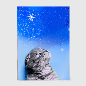 Постер с принтом Кот и космос в Кировске, 100% бумага
 | бумага, плотность 150 мг. Матовая, но за счет высокого коэффициента гладкости имеет небольшой блеск и дает на свету блики, но в отличии от глянцевой бумаги не покрыта лаком | cat | cat and space | kitty | в космосе | звездное небо | звёзды | космический кот | кот | кот в космосе | кот и звезды | кот смотрит | кот смотрит на небо | котенок | котик | кошка