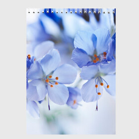 Скетчбук с принтом Весна 2020 в Кировске, 100% бумага
 | 48 листов, плотность листов — 100 г/м2, плотность картонной обложки — 250 г/м2. Листы скреплены сверху удобной пружинной спиралью | Тематика изображения на принте: весенние картинки | весна | весна 2020 | зелнь | прекрасное время года | прикольные картинки | природа | птицы | тюльпаны | цветы